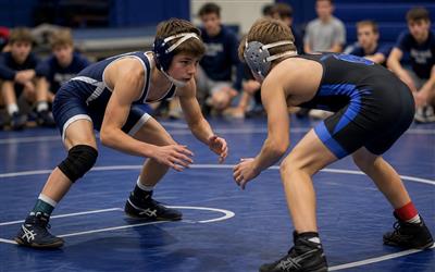 wrestling wrestling